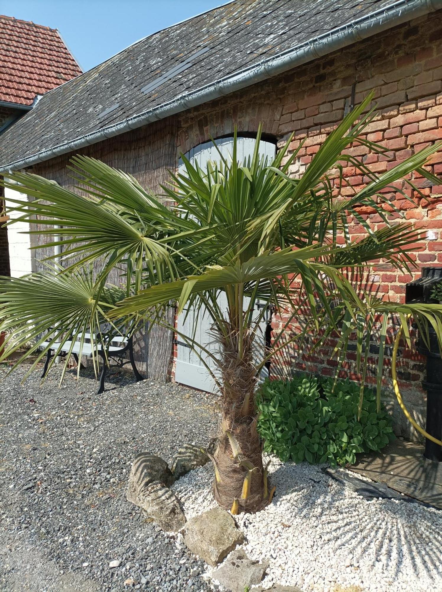 Bed and Breakfast Les Muches Bouzincourt Экстерьер фото
